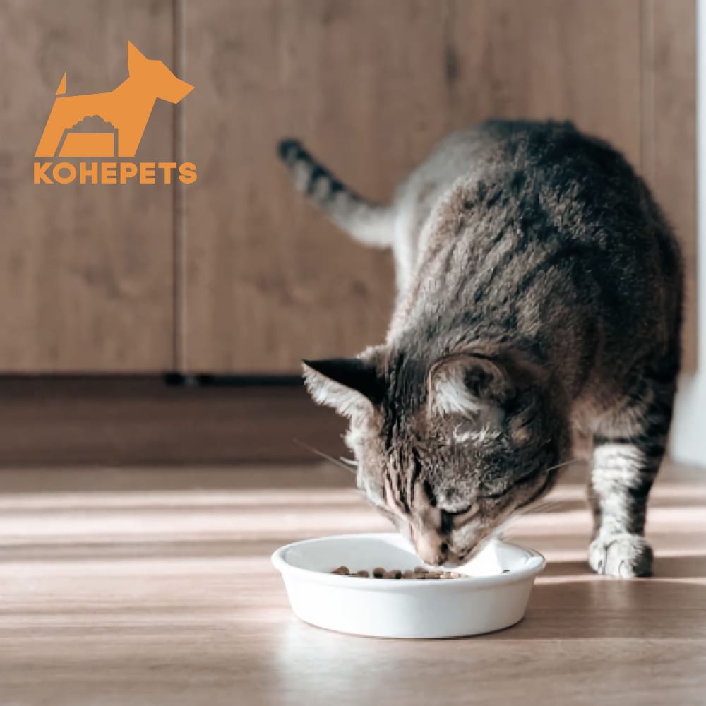 $10 OFF 24 cans: Aixia Kuro-Can Mini Tuna & Skipjack Tuna with Chicken Fillet Canned Cat Food 80g x 24